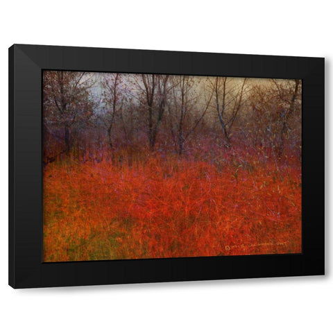 Red Grass I Black Modern Wood Framed Art Print with Double Matting by Vest, Chris