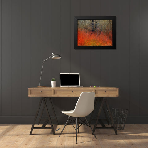 Red Grass II Black Modern Wood Framed Art Print by Vest, Chris
