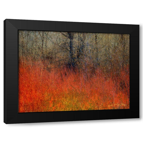 Red Grass II Black Modern Wood Framed Art Print with Double Matting by Vest, Chris