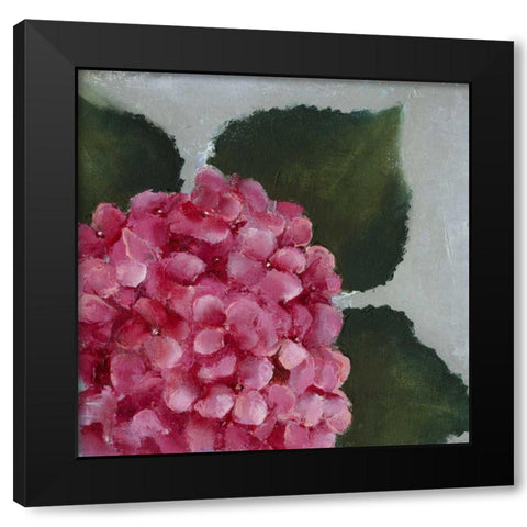 Hydrangea Detail II Black Modern Wood Framed Art Print with Double Matting by Nichols, Liz
