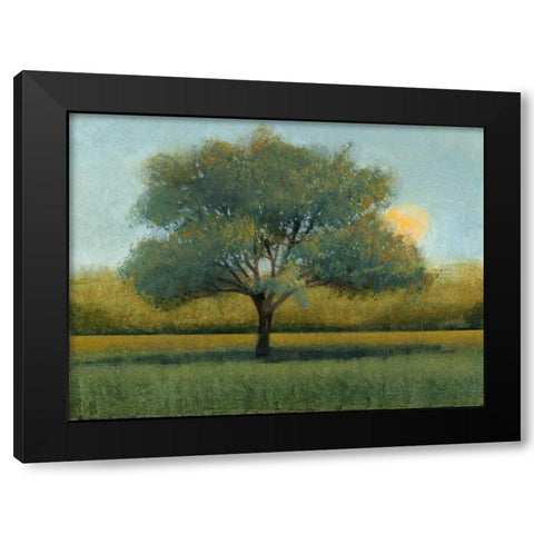 Sunrise I Black Modern Wood Framed Art Print by OToole, Tim