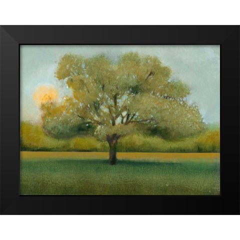 Sunrise II Black Modern Wood Framed Art Print by OToole, Tim