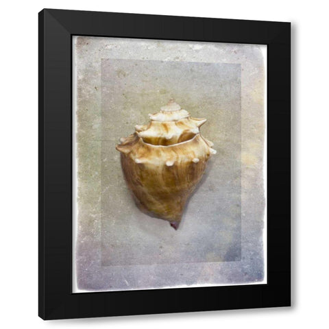 Sheltered I Black Modern Wood Framed Art Print by Hartson-Weddle, Ryan