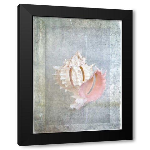 Sheltered II Black Modern Wood Framed Art Print with Double Matting by Hartson-Weddle, Ryan