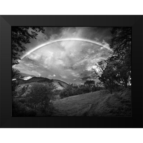 Green Field With Rainbow Black Modern Wood Framed Art Print by Nalbandian, Nish