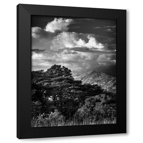 Mountains and Clouds Black Modern Wood Framed Art Print by Nalbandian, Nish