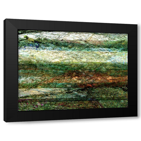 Lines of Nature I Black Modern Wood Framed Art Print with Double Matting by Harrington, Danielle