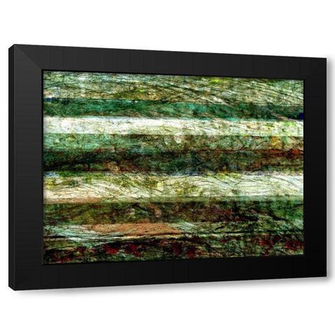 Lines of Nature II Black Modern Wood Framed Art Print with Double Matting by Harrington, Danielle