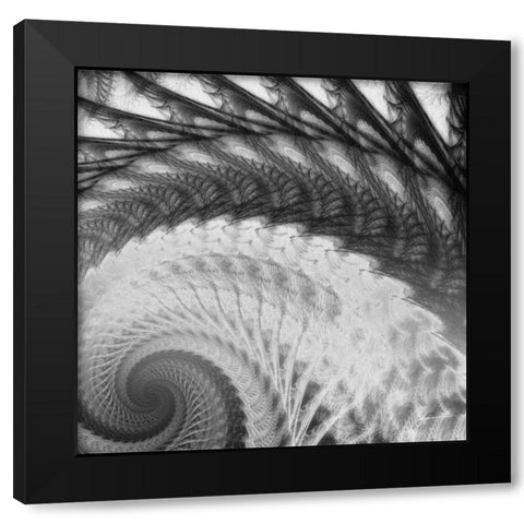 Helix I Black Modern Wood Framed Art Print by Burghardt, James