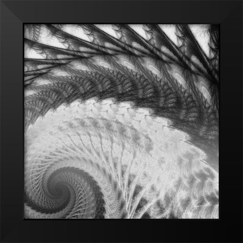 Helix I Black Modern Wood Framed Art Print by Burghardt, James