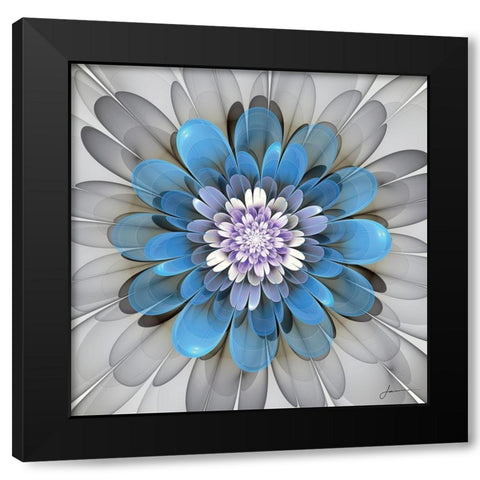 Fractal Blooms III Black Modern Wood Framed Art Print with Double Matting by Burghardt, James