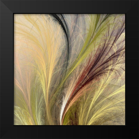 Fountain Grass I Black Modern Wood Framed Art Print by Burghardt, James