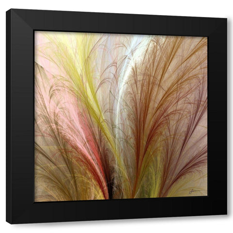 Fountain Grass II Black Modern Wood Framed Art Print by Burghardt, James