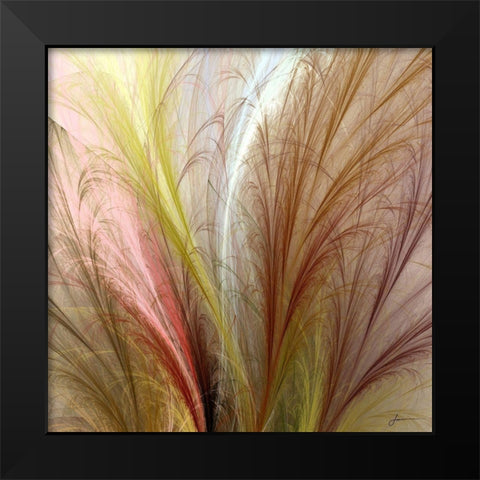 Fountain Grass II Black Modern Wood Framed Art Print by Burghardt, James