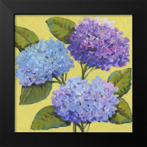 Spring Hydrangeas I Black Modern Wood Framed Art Print by OToole, Tim