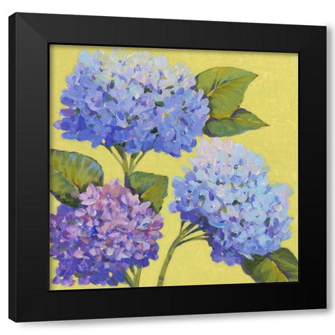 Spring Hydrangeas II Black Modern Wood Framed Art Print by OToole, Tim