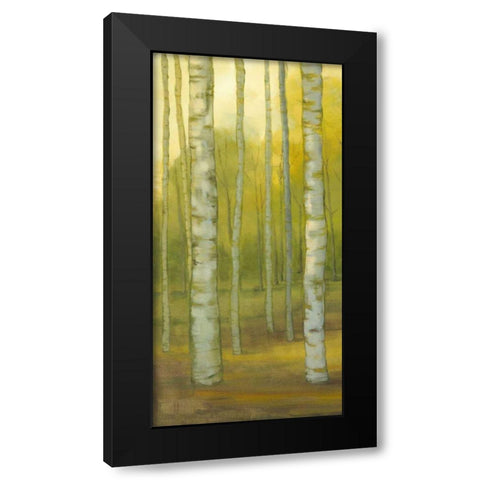 Sunny Birch Grove I Black Modern Wood Framed Art Print with Double Matting by Joy, Julie