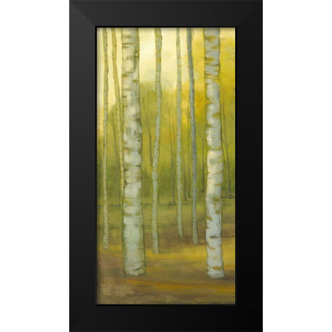 Sunny Birch Grove I Black Modern Wood Framed Art Print by Joy, Julie