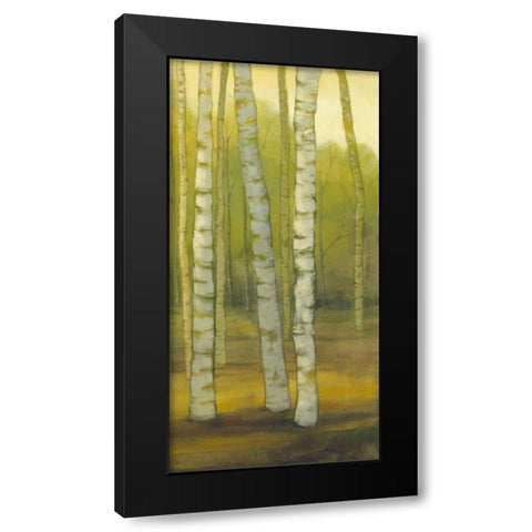 Sunny Birch Grove II Black Modern Wood Framed Art Print by Joy, Julie