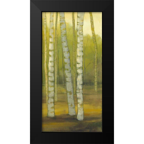 Sunny Birch Grove II Black Modern Wood Framed Art Print by Joy, Julie