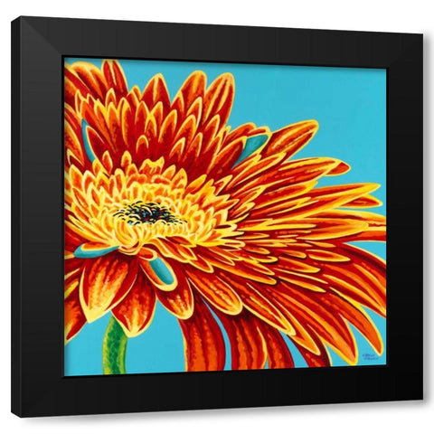 Color Bursts I Black Modern Wood Framed Art Print with Double Matting by Vitaletti, Carolee