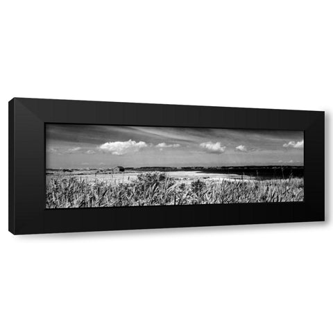 Shore Panorama III Black Modern Wood Framed Art Print by Pica, Jeff