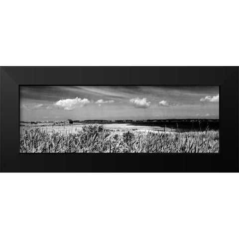Shore Panorama III Black Modern Wood Framed Art Print by Pica, Jeff