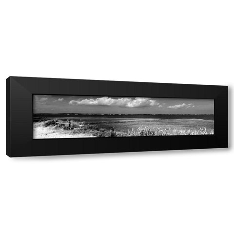 Shore Panorama VII Black Modern Wood Framed Art Print by Pica, Jeff