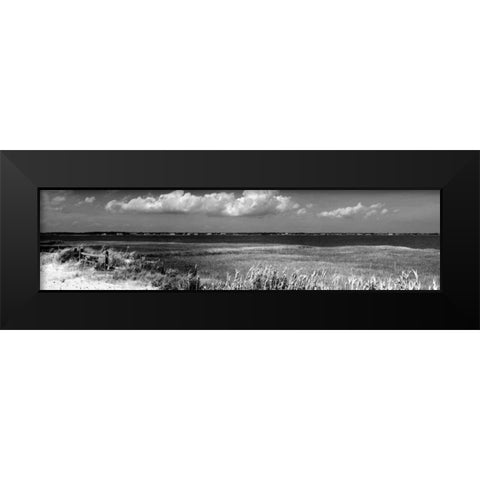 Shore Panorama VII Black Modern Wood Framed Art Print by Pica, Jeff