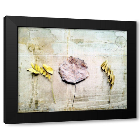 Herbarium III Black Modern Wood Framed Art Print by Blixt, Ingrid