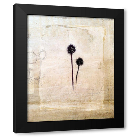 Herbarium IV Black Modern Wood Framed Art Print by Blixt, Ingrid