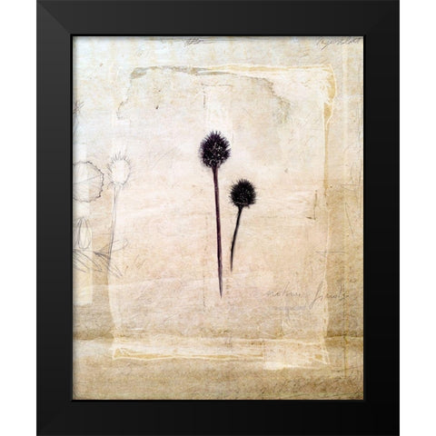 Herbarium IV Black Modern Wood Framed Art Print by Blixt, Ingrid