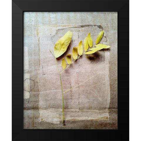 Herbarium V Black Modern Wood Framed Art Print by Blixt, Ingrid