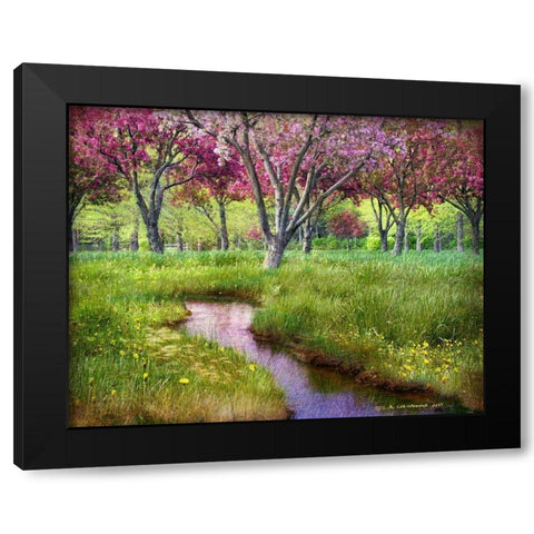 Summer Spring Black Modern Wood Framed Art Print by Vest, Chris