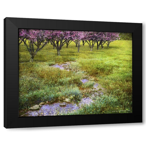 Summer Path Black Modern Wood Framed Art Print by Vest, Chris