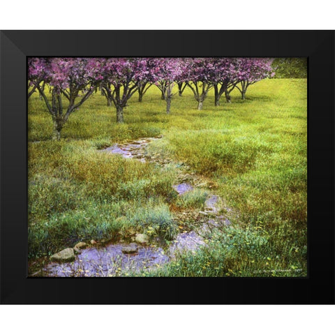 Summer Path Black Modern Wood Framed Art Print by Vest, Chris