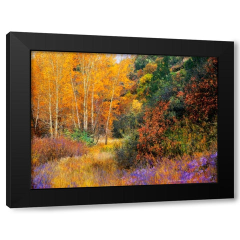 Lost Canyon Larkspurs I Black Modern Wood Framed Art Print with Double Matting by Vest, Chris