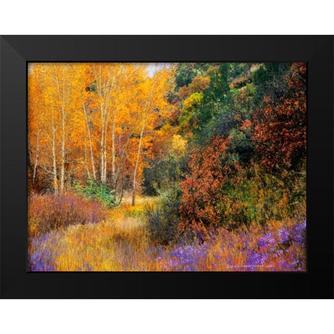 Lost Canyon Larkspurs I Black Modern Wood Framed Art Print by Vest, Chris