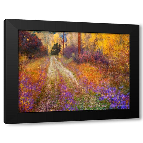 Lost Canyon Larkspurs II Black Modern Wood Framed Art Print by Vest, Chris
