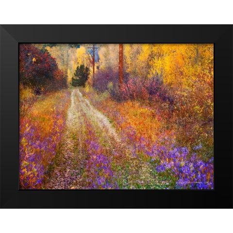 Lost Canyon Larkspurs II Black Modern Wood Framed Art Print by Vest, Chris