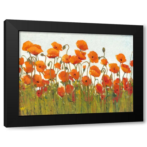 Rows of Poppies II Black Modern Wood Framed Art Print with Double Matting by OToole, Tim