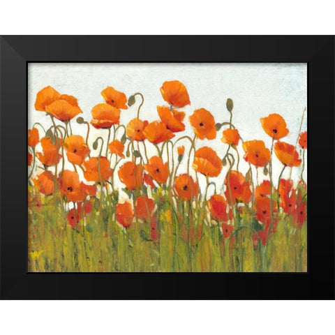 Rows of Poppies II Black Modern Wood Framed Art Print by OToole, Tim