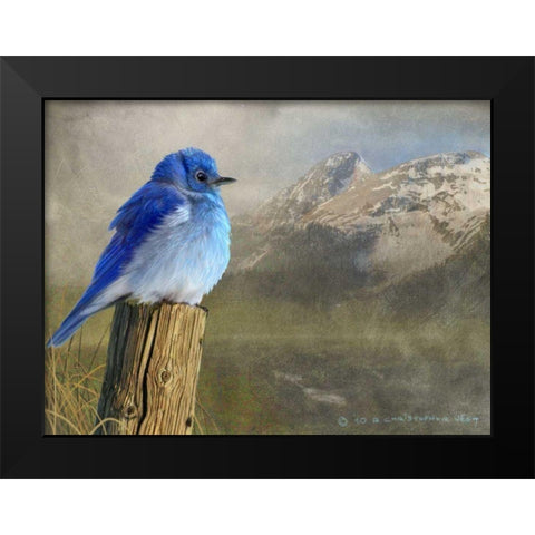Mountain Blue Bird Black Modern Wood Framed Art Print by Vest, Chris