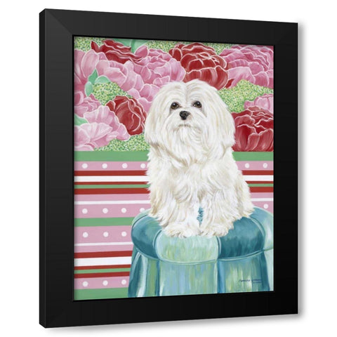 Della Rose Maltese Black Modern Wood Framed Art Print with Double Matting by Vitaletti, Carolee