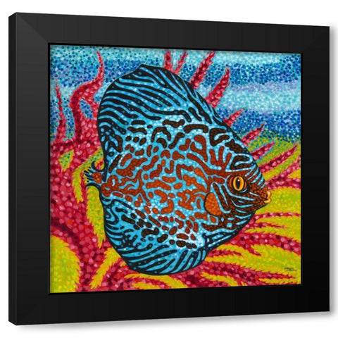 Brilliant Tropical Fish II Black Modern Wood Framed Art Print by Vitaletti, Carolee