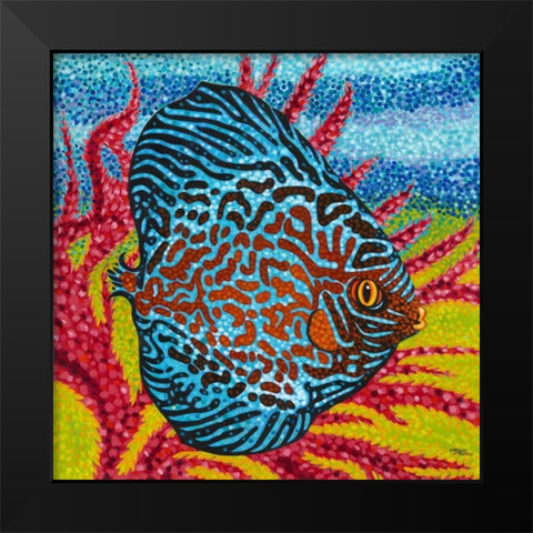 Brilliant Tropical Fish II Black Modern Wood Framed Art Print by Vitaletti, Carolee