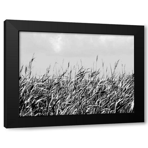 Dune Triptych I Black Modern Wood Framed Art Print by Pica, Jeff