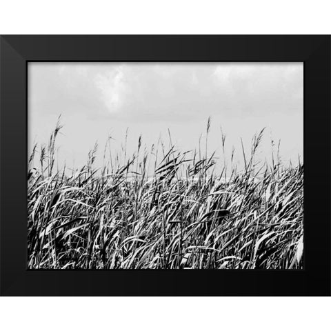 Dune Triptych I Black Modern Wood Framed Art Print by Pica, Jeff