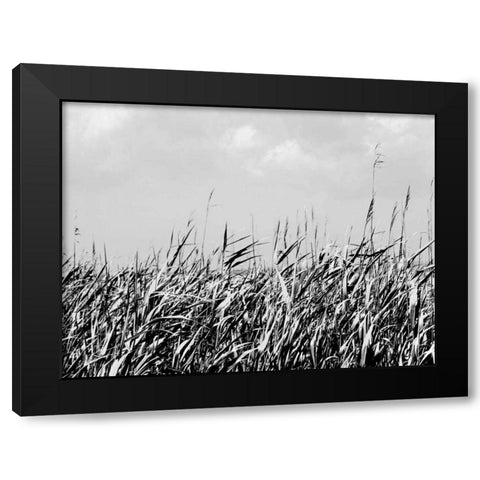 Dune Triptych II Black Modern Wood Framed Art Print with Double Matting by Pica, Jeff