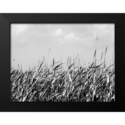 Dune Triptych II Black Modern Wood Framed Art Print by Pica, Jeff